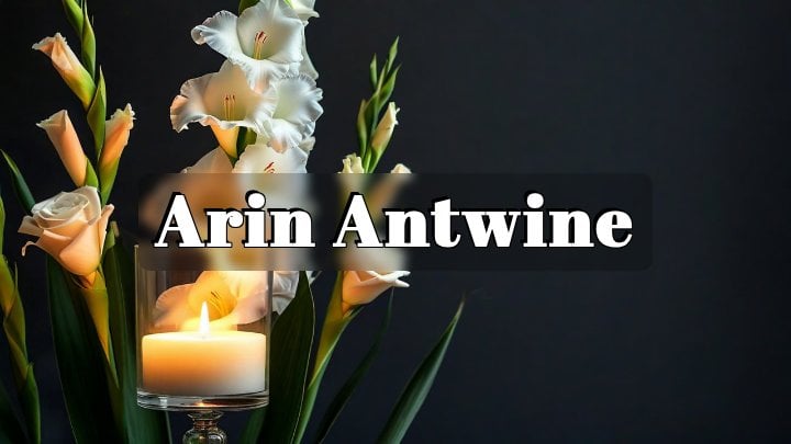 Arin Antwine, Beaumont, South Park neighborhood, Ogden Avenue area